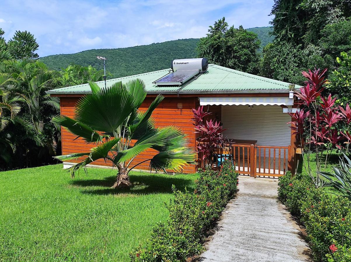 Le Tri Haut De Bellevue - Bungalow Colibri Пуэнт-Нуар Экстерьер фото